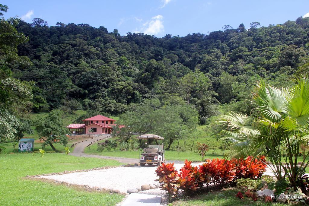 Mei Tai Cacao Lodge Bijagua Exteriér fotografie