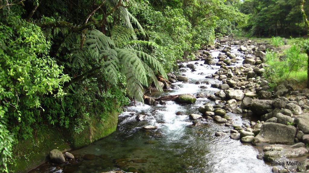 Mei Tai Cacao Lodge Bijagua Exteriér fotografie
