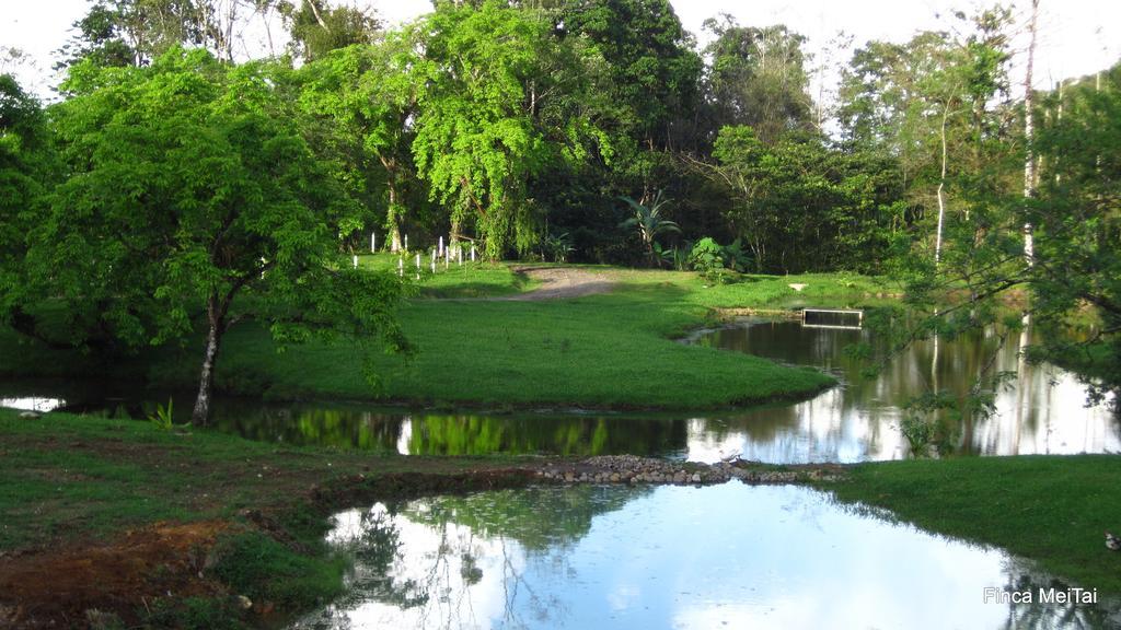 Mei Tai Cacao Lodge Bijagua Exteriér fotografie