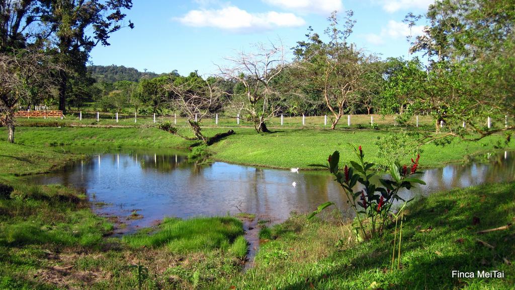 Mei Tai Cacao Lodge Bijagua Exteriér fotografie