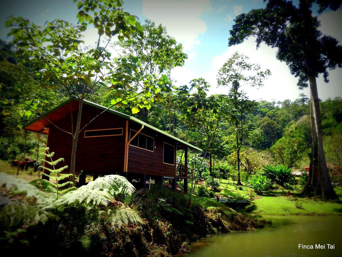 Mei Tai Cacao Lodge Bijagua Exteriér fotografie