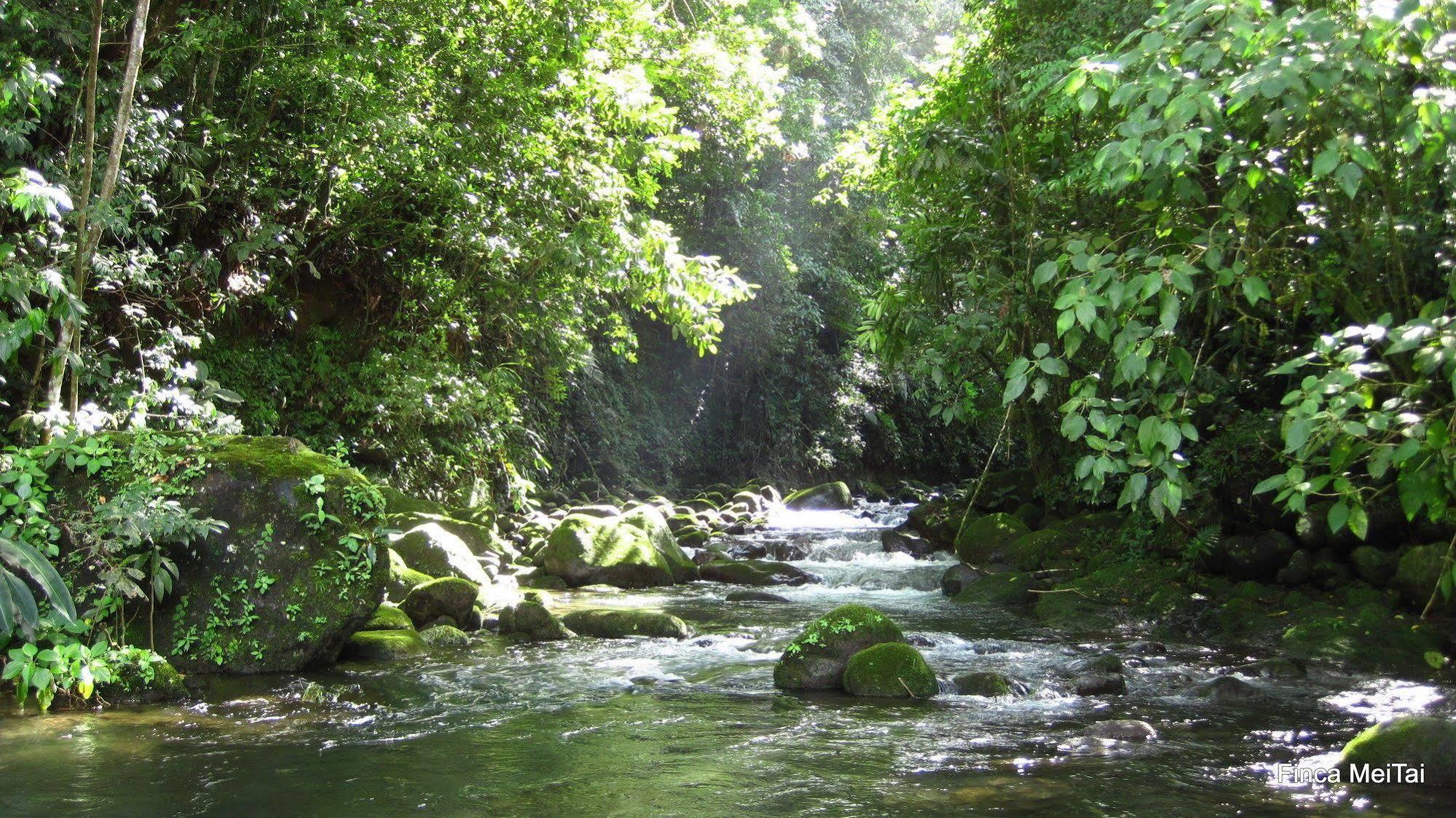 Mei Tai Cacao Lodge Bijagua Exteriér fotografie