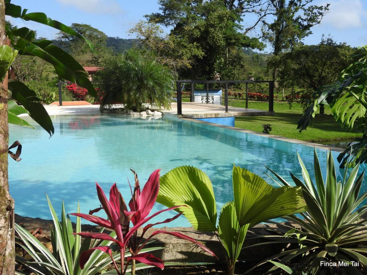 Mei Tai Cacao Lodge Bijagua Exteriér fotografie